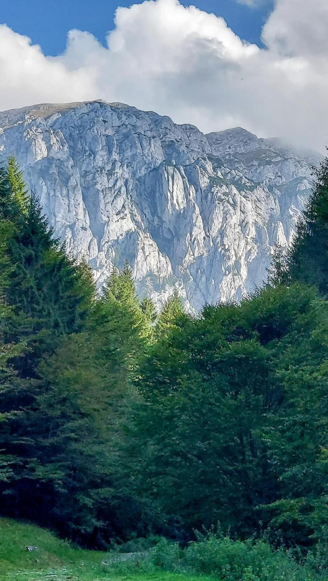Cazare Zorilor Zărneşti Zimmer foto