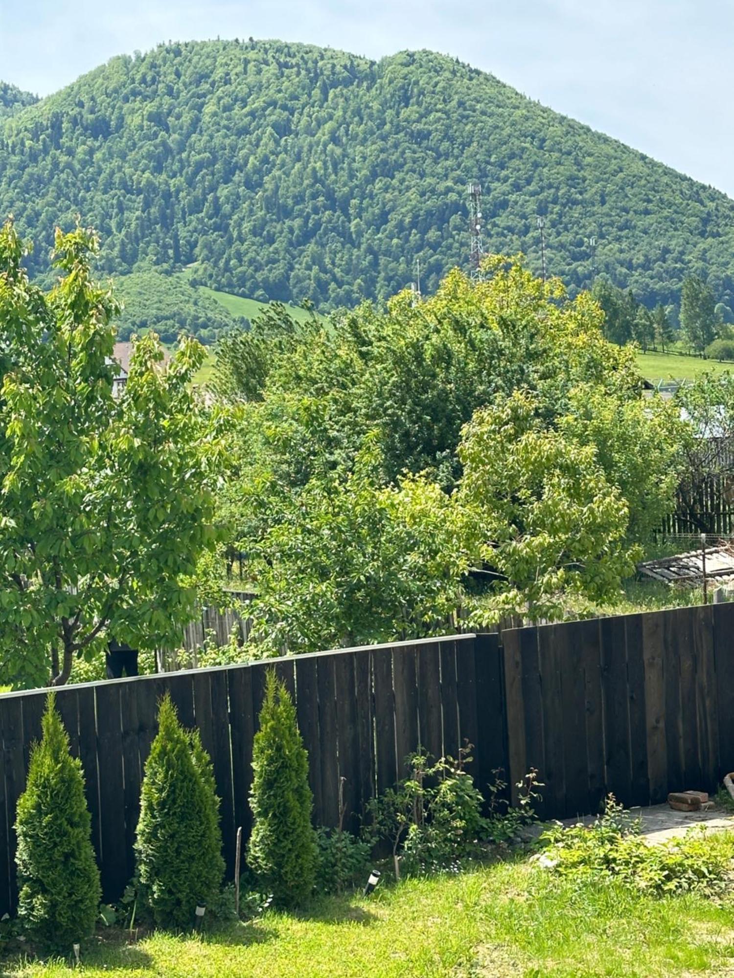 Cazare Zorilor Zărneşti Zimmer foto